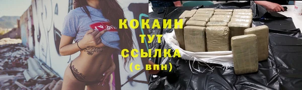 амф Мегион