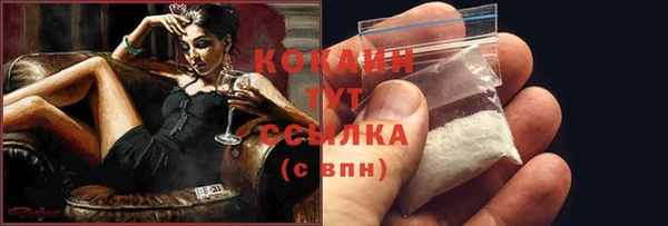 амф Мегион