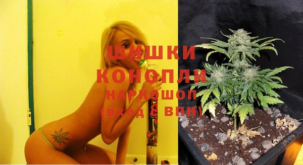 каннабис Майский